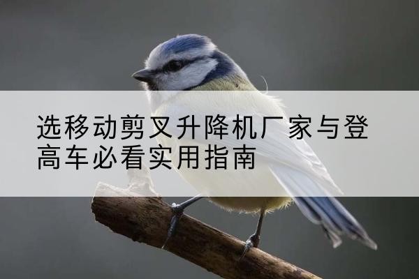 西城区电动升降机厂家-选移动剪叉升降机厂家与登高车必看实用指南