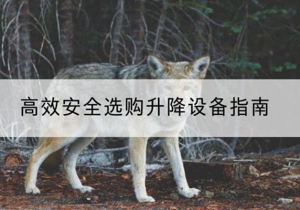 西城区升降货梯厂家推荐-*安全选购升降设备指南